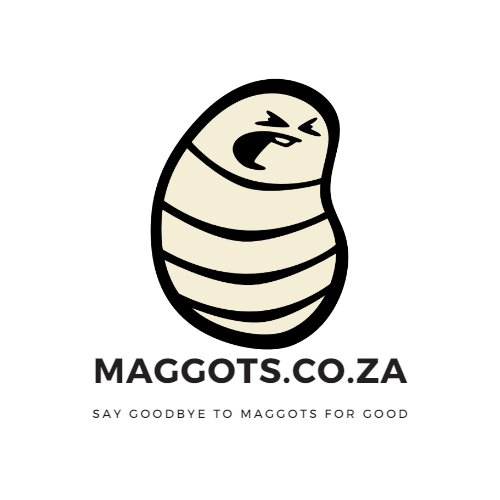 MAGGOTS